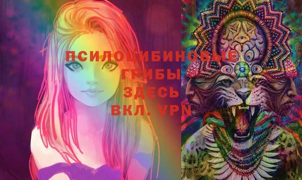 хмурый Куйбышев